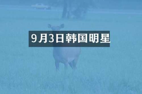 9月3日韩国明星