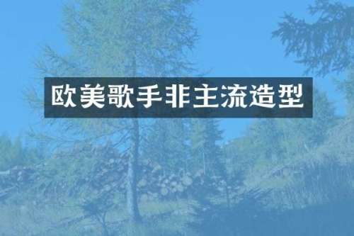 欧美歌手非主流造型