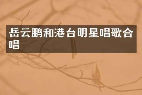 岳云鹏和港台明星唱歌合唱