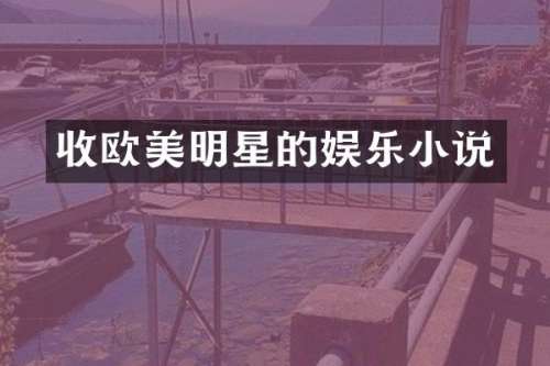 收欧美明星的娱乐小说