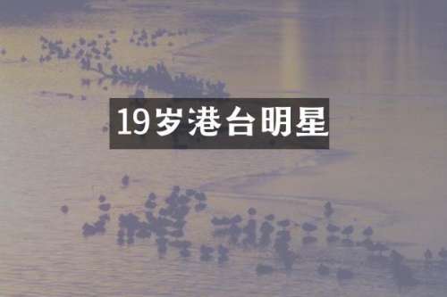 19岁港台明星