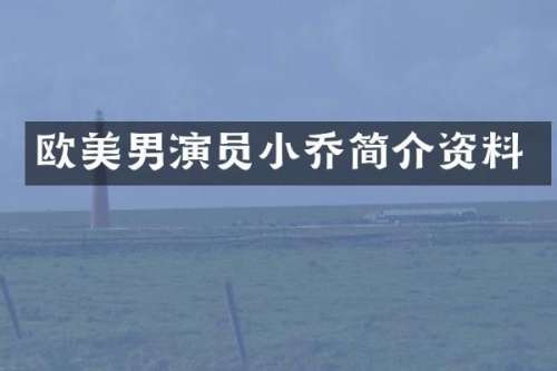 欧美男演员小乔简介资料