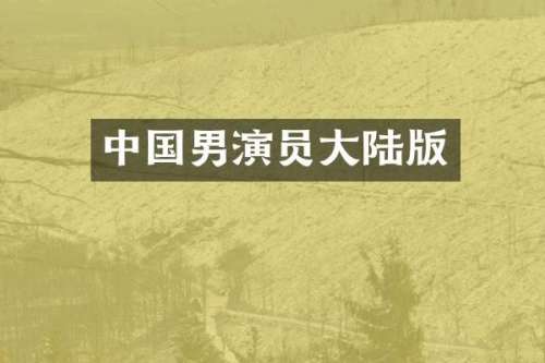 中国男演员大陆版