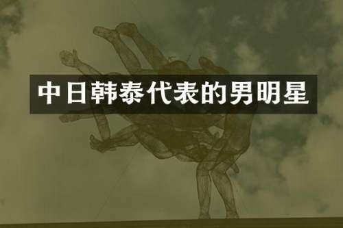 中日韩泰代表的男明星