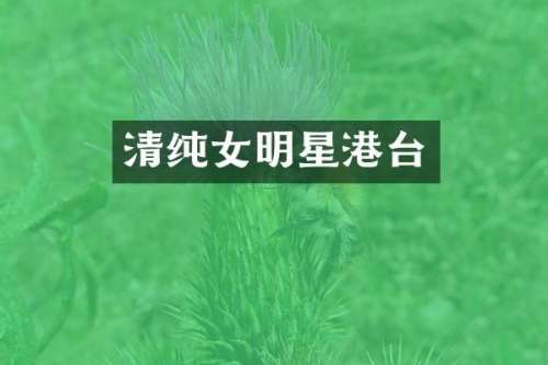清纯女明星港台
