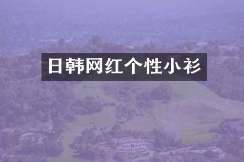 日韩网红个性小衫