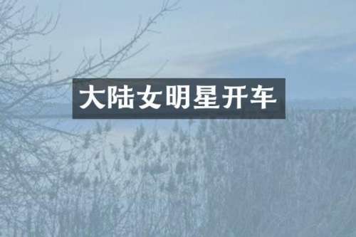 大陆女明星开车