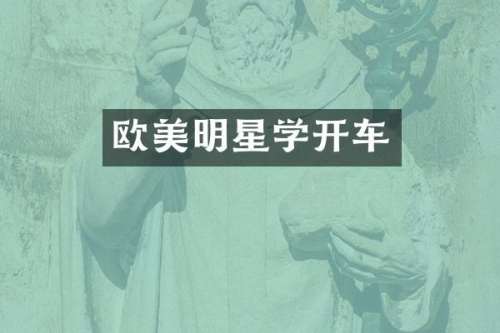 欧美明星学开车