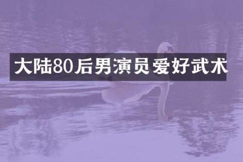 大陆80后男演员爱好武术