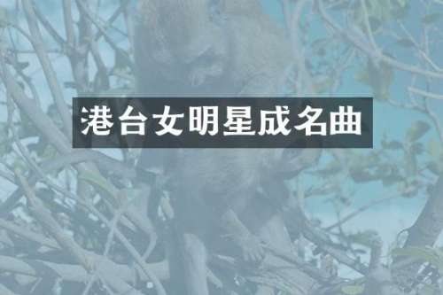 港台女明星成名曲