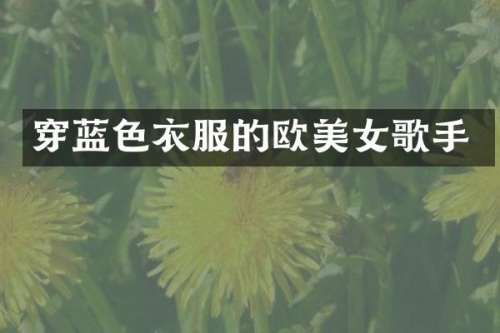 穿蓝色衣服的欧歌手