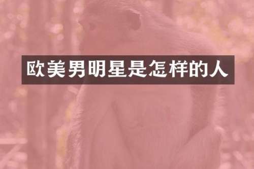 欧美男明星是怎样的人