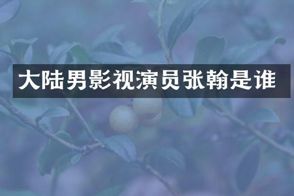 大陆男影视演员张翰是谁
