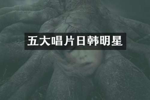 五大唱片日韩明星