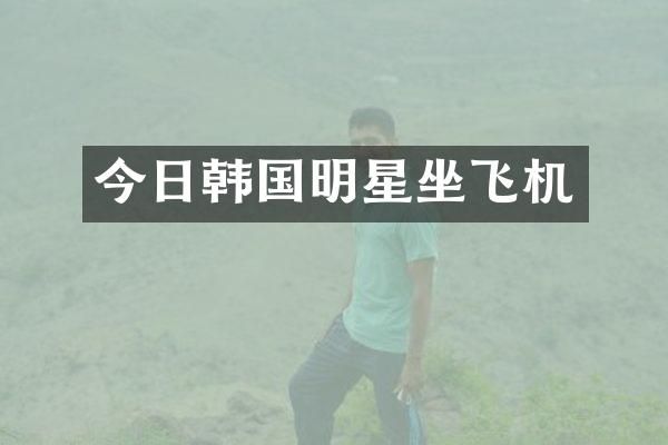 今日韩国明星坐飞机