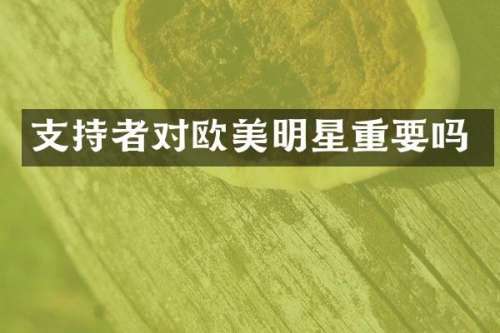 支持者对欧美明星重要吗