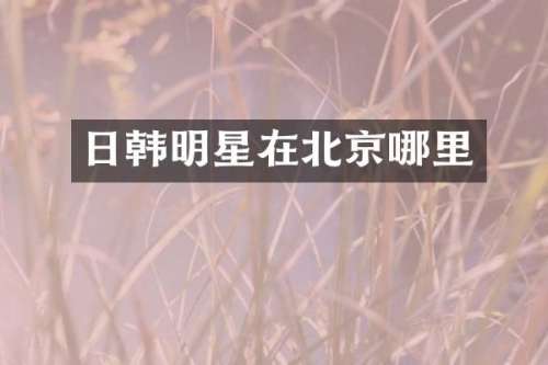 日韩明星在北京哪里