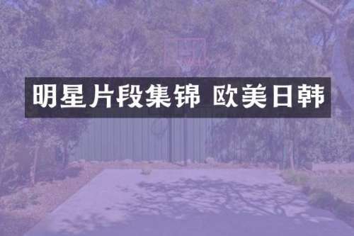 明星片段集锦 欧美日韩