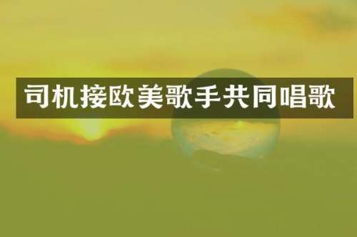 司机接欧美歌手共同唱歌
