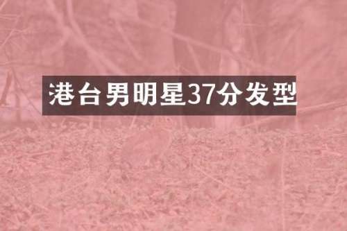 港台男明星37分发型