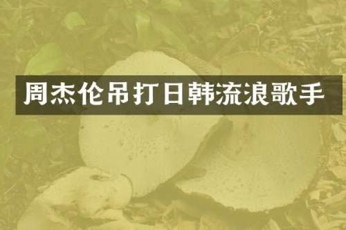 周杰伦吊打日韩流浪歌手