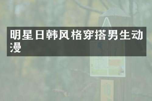 明星日韩风格穿搭男生动漫
