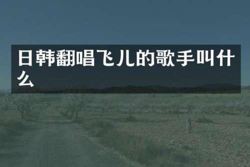 日韩翻唱飞儿的歌手叫什么