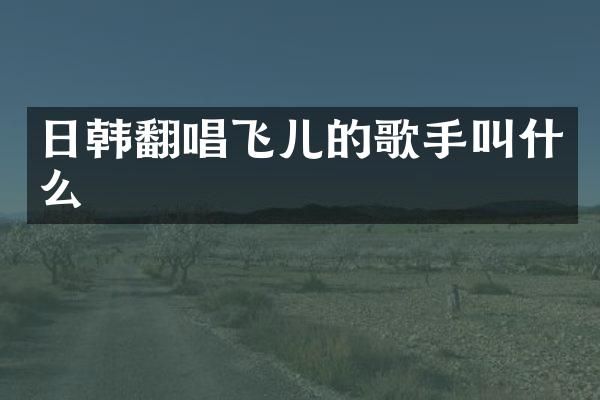 日韩翻唱飞儿的歌手叫什么