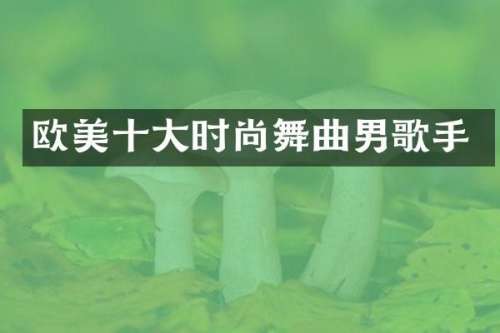 欧美十大时尚舞曲男歌手