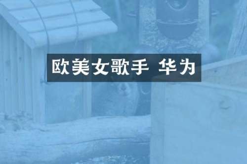 欧歌手 华为