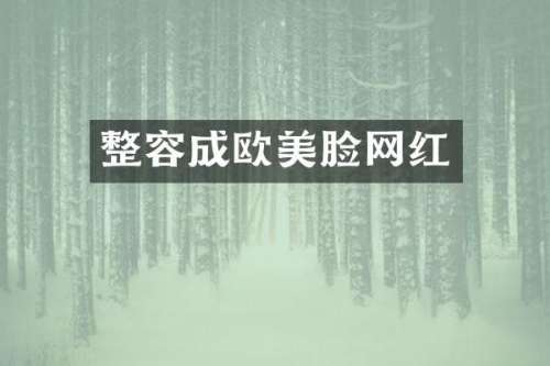 整容成欧美脸网红