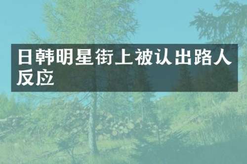 日韩明星街上被认出路人反应