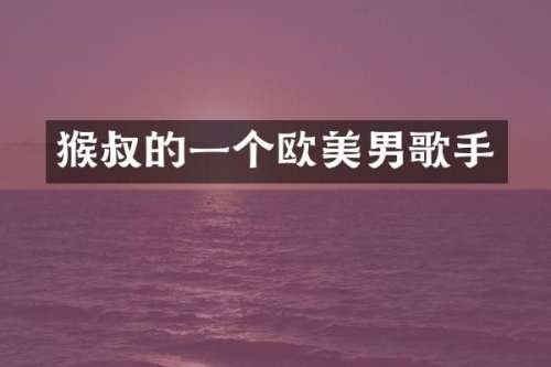猴叔的一个欧美男歌手