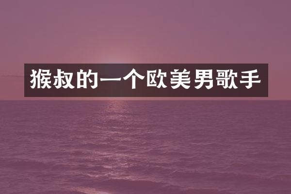 猴叔的一个欧美男歌手