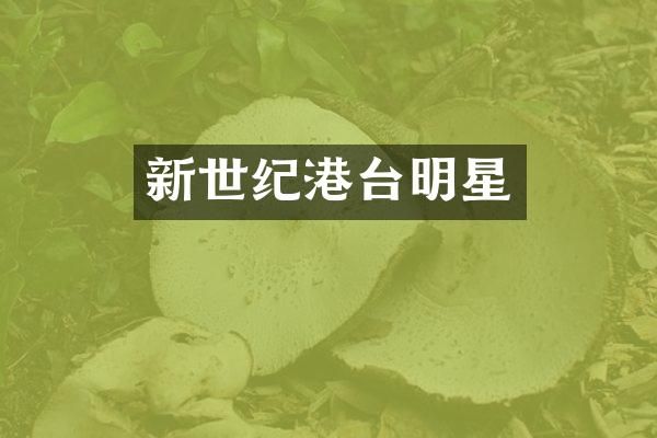新世纪港台明星