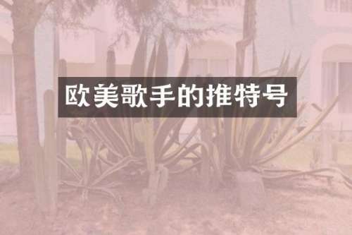 欧美歌手的推特号