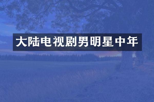 大陆电视剧男明星中年