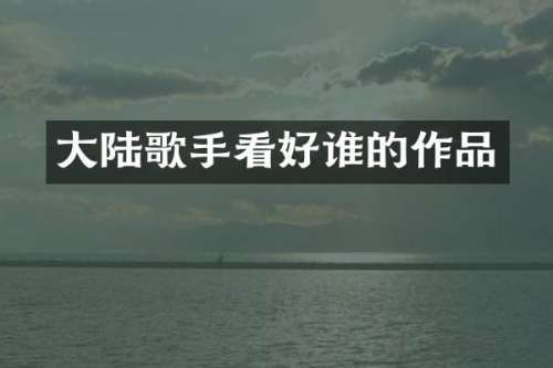 大陆歌手看好谁的作品