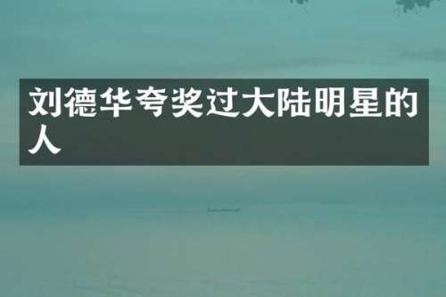 刘德华夸奖过大陆明星的人