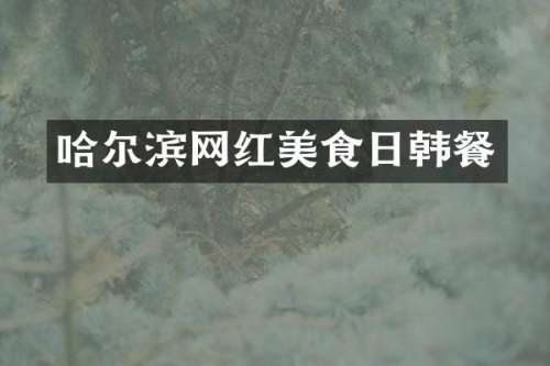 哈尔滨网红美食日韩餐