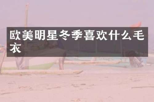 欧美明星冬季喜欢什么毛衣