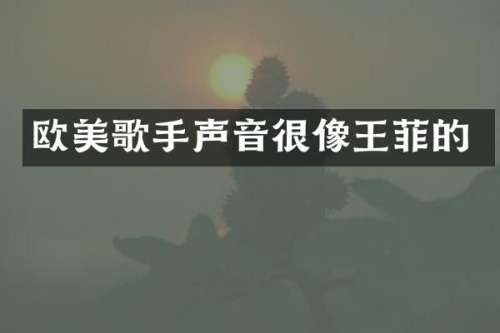 欧美歌手声音很像王菲的