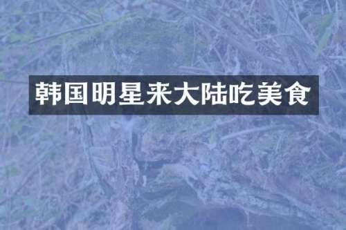 韩国明星来大陆吃美食