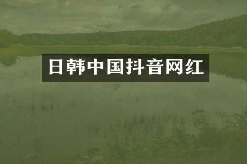 日韩中国抖音网红