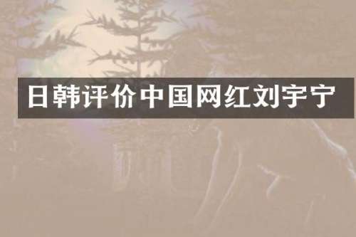 日韩评价中国网红刘宇宁