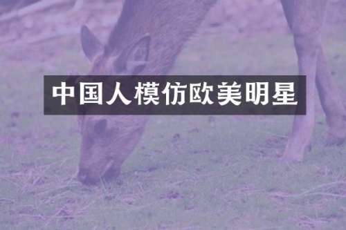 中国人模仿欧美明星