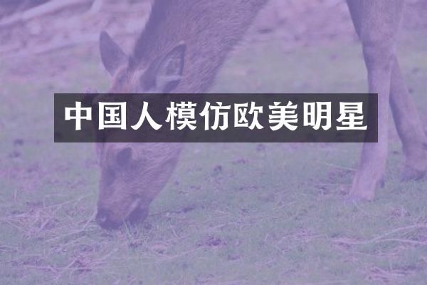 中国人模仿欧美明星
