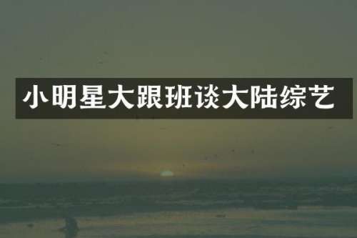 小明星大跟班谈大陆综艺