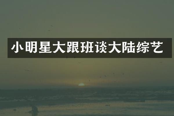 小明星大跟班谈大陆综艺