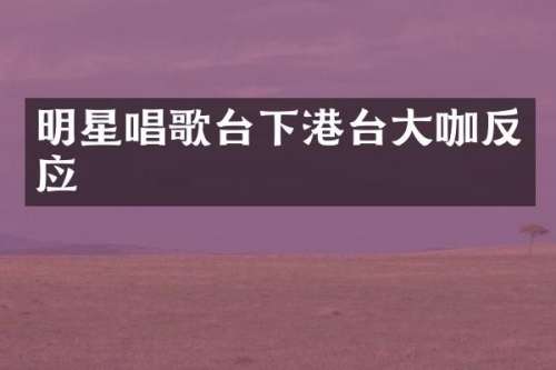 明星唱歌台下港台大咖反应